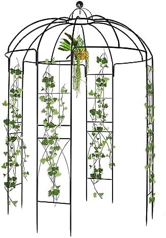 Metalowa pergola na pnącza